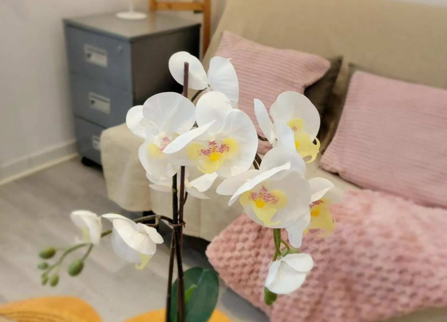Apartment Douceur De Sainte - Appartement Cosy 2-4 Personnes Centre
